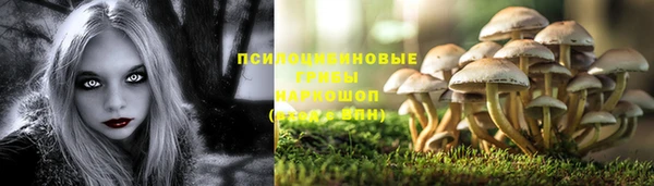 не бодяженный Волосово