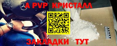 мяу мяу мука Гатчина